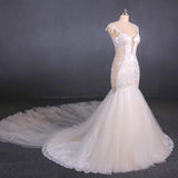 Charming Mermaid Tulle Wedding Dress, Chapel Train Long Bridal Gown DMQ14