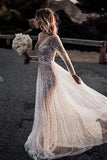 Sparkly A-line See Through Deep V Neck Long Sleeves Wedding Dresses DMW30