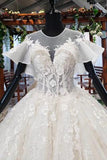 Elegant Ball Gown Big Wedding Dresses, Appliques Bridal Dress with Short Sleeves DMN73