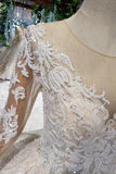 Princess Long Sleeves Ball Gown Lace Wedding Dresses, Long Bridal Dress DMN43